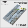TTP25206