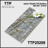 TTP25208
