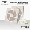 TTP304