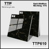 TTP610