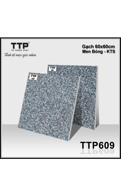 TTP609