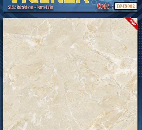 Gạch VICEnRA