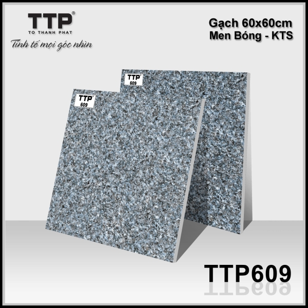 TTP609