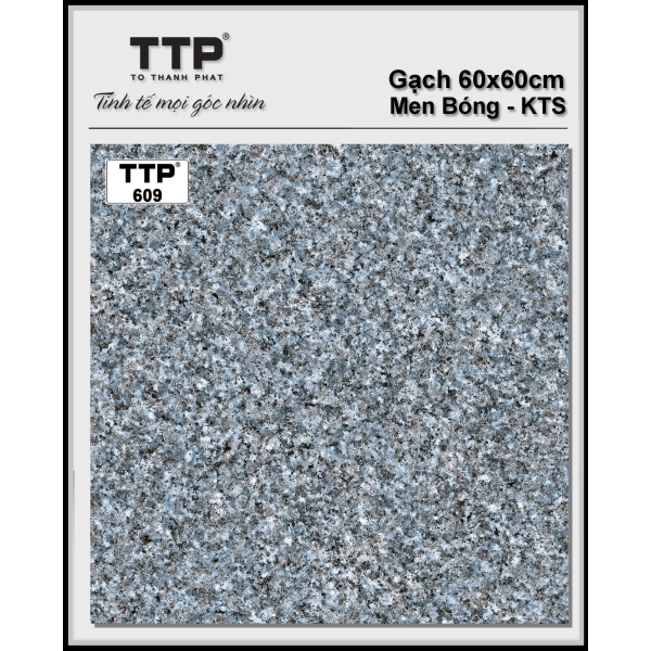 TTP609
